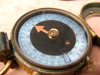 Close up view of Mother of Pearl dial